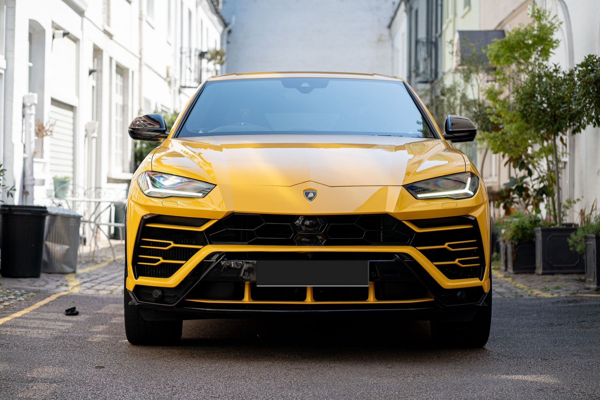 Lamborghini Urus Yellow Dragon